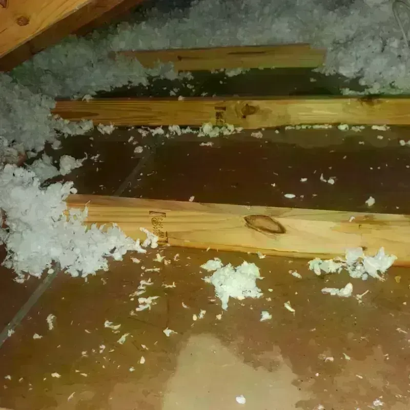 Attic Water Damage in Tuckerman, AR