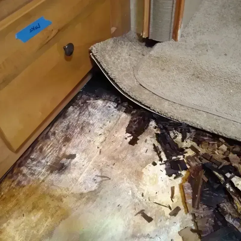 Best Wood Floor Water Damage Service in Tuckerman, AR